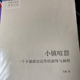 小镇喧嚣：一个乡镇政治运作的演绎与阐释