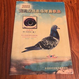 2003 高王宏超级杨阿腾家族 赛鸽