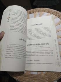 云南石产业 陈昕、谭亚原 主编 云南人民出版社9787222068018