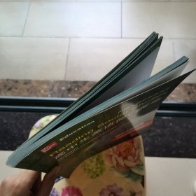高中生英语阅读策略（高3适用）