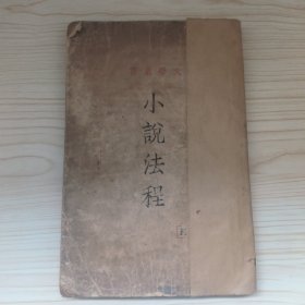 小说法程（文学丛书）