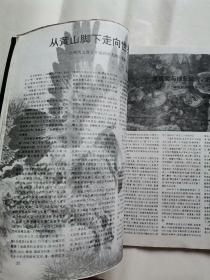 上海艺术家1995-2“书中有画家唐云逝世一周年纪念专辑”