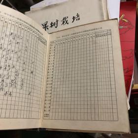 1955年 宁都中学 学生成绩册
