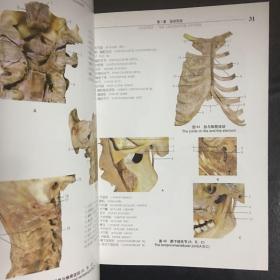 【  全新  正版   包快递】《实用人体解剖彩色图谱》人民卫生出版社 原价：80元 现45元  包快递  当天发