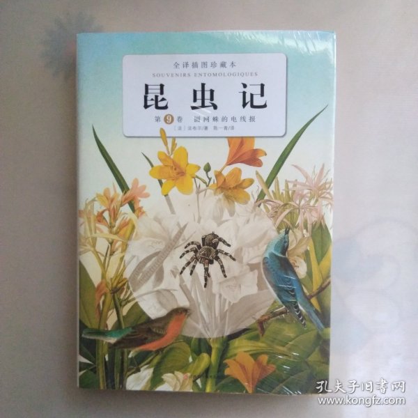 昆虫记第九卷： 圆网蛛的电线报