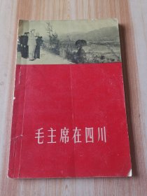 毛主席在四川