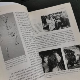世界：一部历史上下册（两册全）
