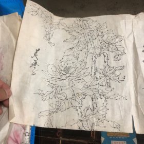 手绘白描花卉小品（无款）