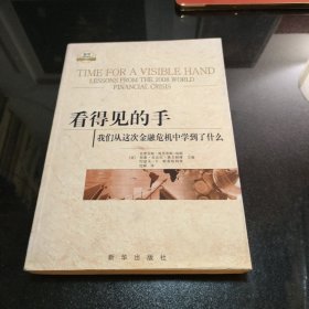 看得见的手：我们从这次金融危机中学到了什么