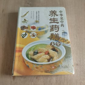 中华名中药养生药膳大全