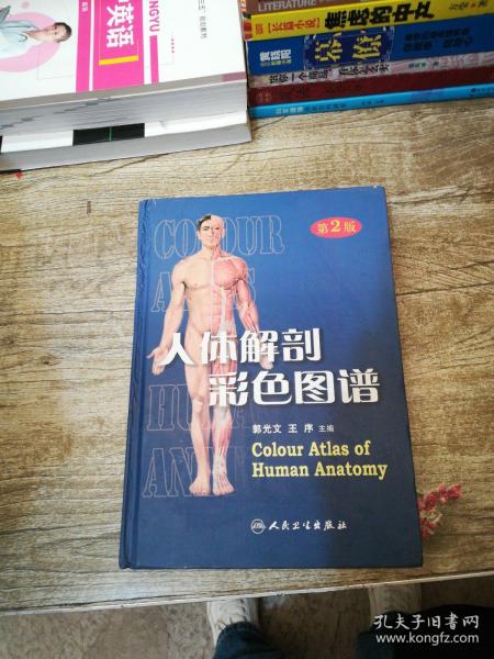 人体解剖彩色图谱