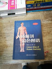 人体解剖彩色图谱