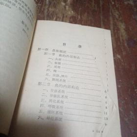 鱼病防治手册