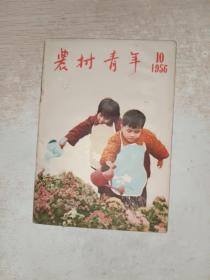 农村青年1956年第10期