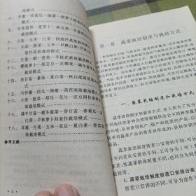 露地蔬菜高效栽培模式