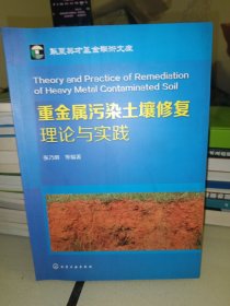 重金属污染土壤修复理论与实践