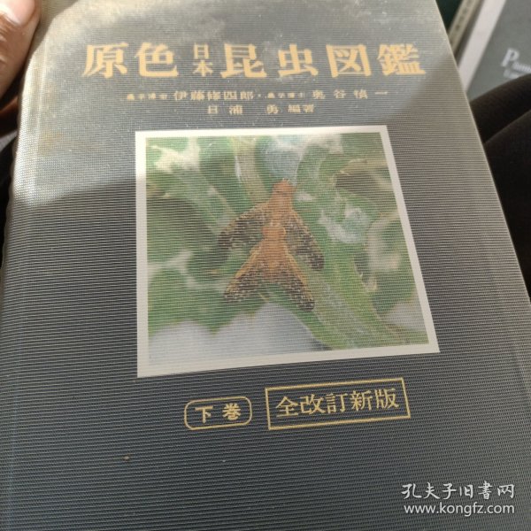 原色日本昆虫图鉴上下