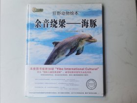 余音绕梁—海豚
