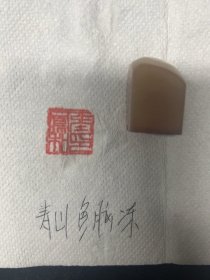 寿山石鱼脑冻，印章