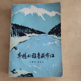 （红色经典）红色文学  怀旧收藏   一版一印 私藏品较好王德明 赵立志 著《奔腾的雅鲁藏布江》人民文学出版社