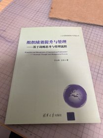 人力资源管理理论与实践丛书·组织绩效提升与管理：基于战略思考与管理流程