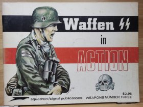武装党卫军在行动 Waffen SS in Action