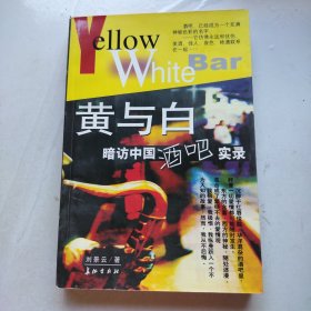 黄与白--暗访中国酒吧实录