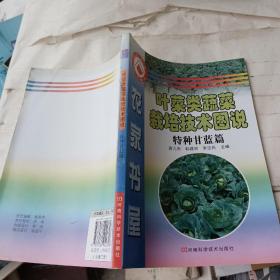 叶菜类蔬菜栽培技术图说  特种甘蓝篇