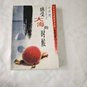 感受大海的时候