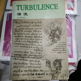 TURBULENCE 湍流