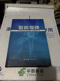 智能导弹
