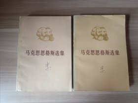 马克思恩格斯选集 第一卷上下