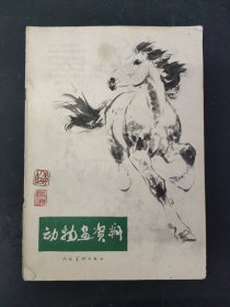 动物画资料