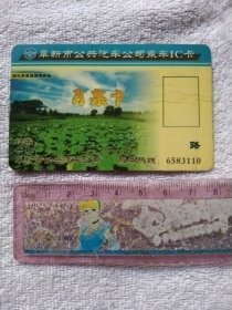 阜新市公共汽车乘车IC卡:月票卡