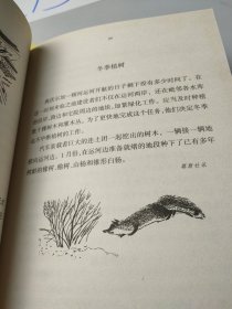 森林报（如图，3本合售）