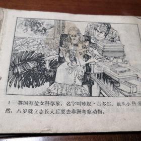 连环画    黑猩猩王国的秘闻  1983年12月江西人民出版社线装版  缺封面、扉页，正文品相平均可达九品左右。
