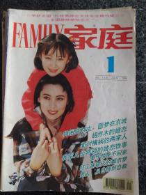 家庭1996年11本合售