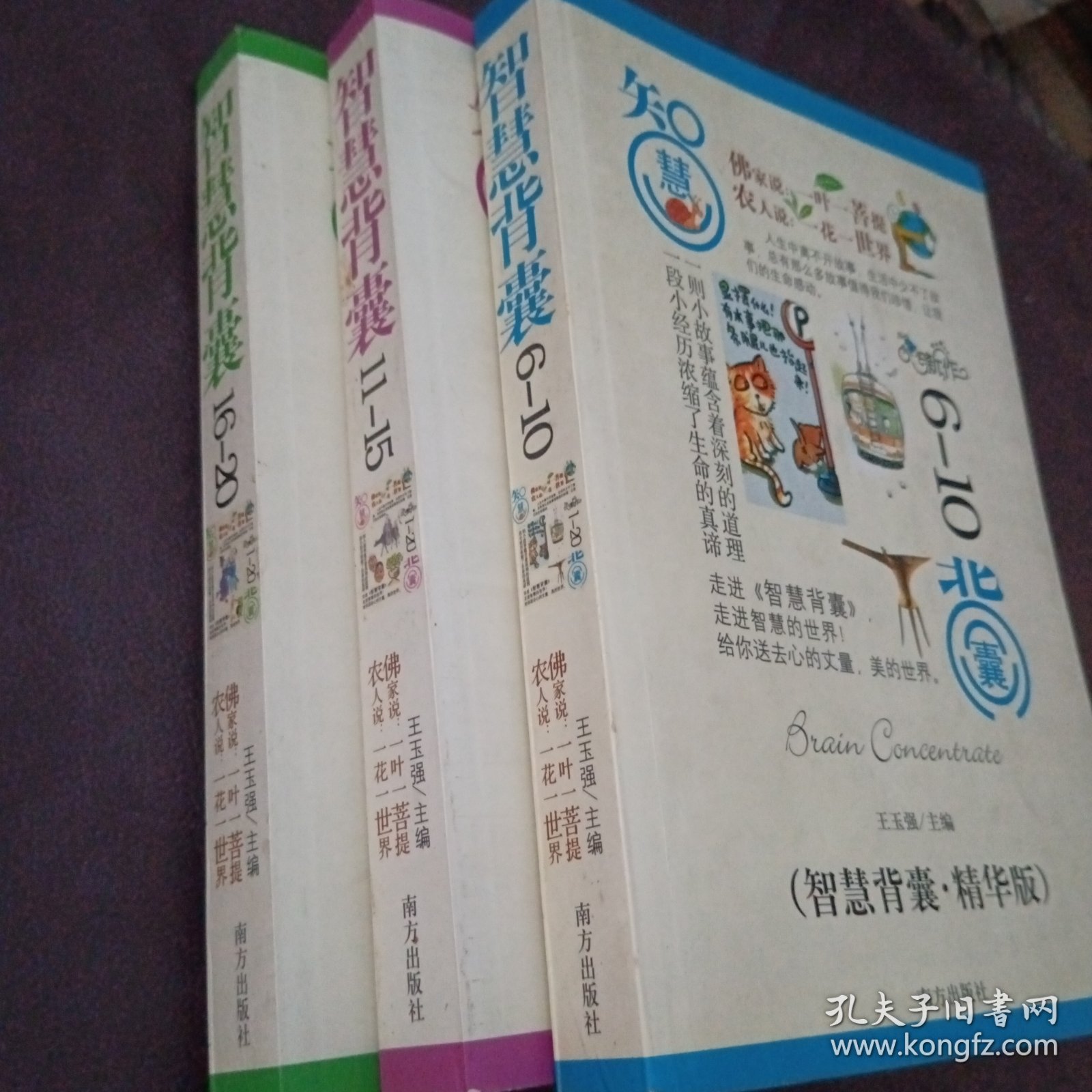 智慧背囊(6～20)共3本书合售