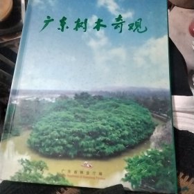 广东树木奇观