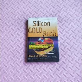 Silicon Gold Rush