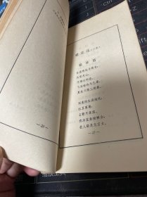 远望集