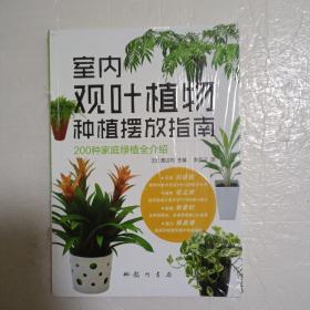 室内观叶植物种植摆放指南