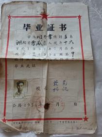 重庆市第二十九中学毕业证 1958年