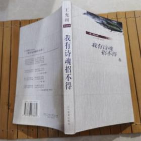 我有诗魂招不得：王充闾作品系列