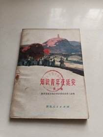 知识青年在延安第一集