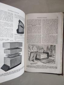 ABC and XYZ of BEE CULTURE 英文原版 1929年 革面精装,封面烫金凹凸印刷，品相较好