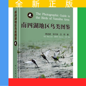 南四湖地區(qū)鳥類圖鑒