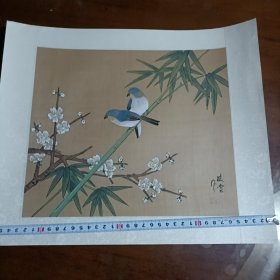 工笔画，画鸟