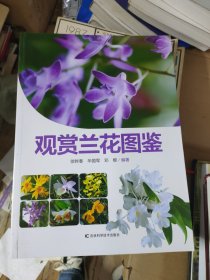 观赏兰花图鉴