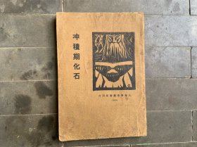 冲积期化石 1928年 孤本图书 上海泰东图书局出版 新文学的第一本长篇小说 张资平著